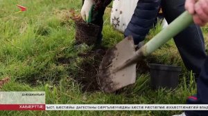 Ансамбль «Джигит»-ы артисттæ Намысы Аллейы ныссагътой дидинджытæ