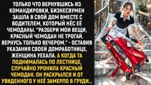 Только что вернувшись из командировки, бизнесвумен зашла в свой дом вместе с водителем