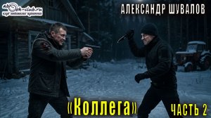 06.02 Александр Шувалов «Боевые псы империи» (книга 6) «Коллега» (часть 2)