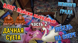 Первомай - уехали на дачу 1-2 мая 2026 г часть 2