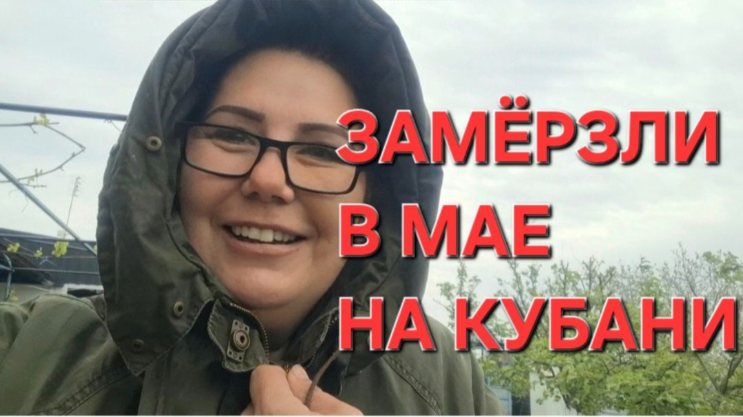 1214 Замёрзли в Мае на Кубани. Всё Вычистили.Купили на Озон и ВБ.