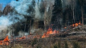 Десятки пожаров вспыхнули в российских регионах в майские праздники