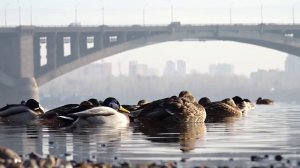 ОТ ЛЕТА ДО ЗАМОРОЗКОВ ЗА ОДИН ДЕНЬ