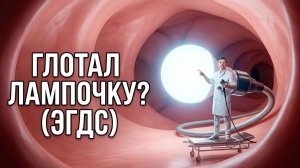 Как часто делать гастроскопию и колоноскопию — чёткие сроки