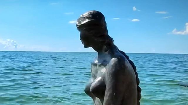 ТОЧКА ПЕРЕСЕЧЕНИЯ: "КОМАРОВСКАЯ РУСАЛОЧКА"