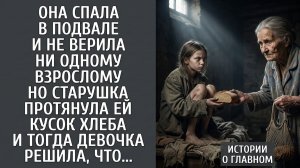 Между крысами и плюшками: Как беспризорница нашла дом в забытом уголке