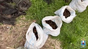Ростовские полицейские выпустили более 4 000 раков из ловушек в Соколовское водохранилище