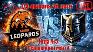 Леопарды-2 vs Викинг. ЛХЛ-27. 3я лига. 1/4 плей-офф. Игра 5. 04.05.2026 21:30