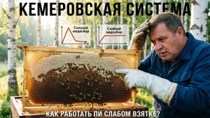 Слабый, но долгий взяток: как переделать кемеровскую систему под себя? Советы Кашковского