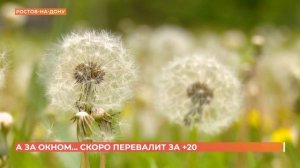 А за окном. 4 апреля 2026
