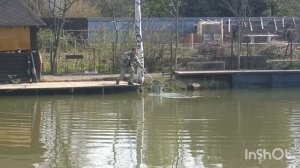 Рыбалка в Липках 🐟