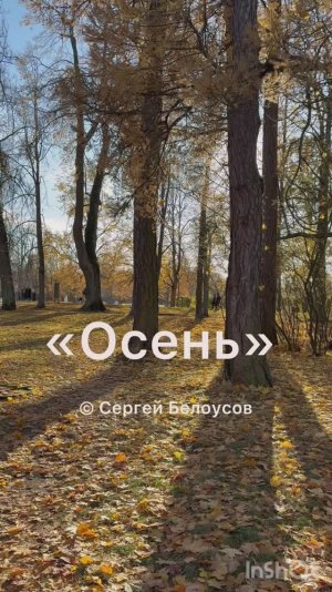 «Осень». Сергей Белоусов. Санкт-Петербург.2026