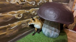 В ГОСТЯХ У СКАЗКИ