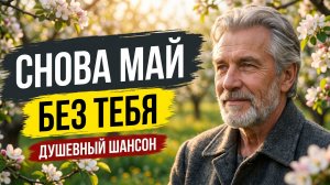 СНОВА МАЙ, НО БЕЗ ТЕБЯ 🎵 Песня-исповедь, которая вывернет душу! Сильный шансон (Слушать до слез)