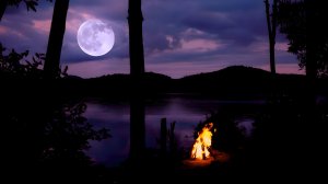 Звуки сверчков и костер. 🌙 Теплая ночная атмосфера озера для снятия стресса и спокойного сна.