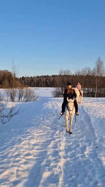 Верхом, прогулки в лес