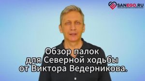 Обзор палок для скандинавской ходьбы Ergoforce E-0673