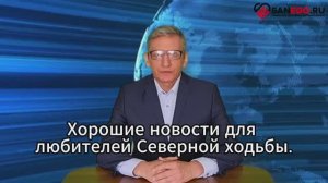 Палки для ходьбы KV+. Новое поступление.