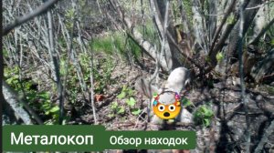Сутки копа перекопал поле /Обзор находоки  шокировал интернет / шикарный  металокоп