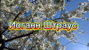 Иоганн Штраус,  вальс Wiener blut, классическая музыка