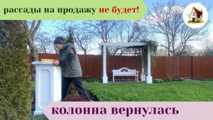 Рассада на продажу. Томатов не будет. 2 мая 2026. Архив.