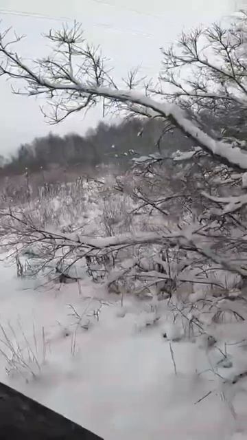#квадроцикл #покатушки #offroad #mud #baltmotors #stels #snow #quadrodrive