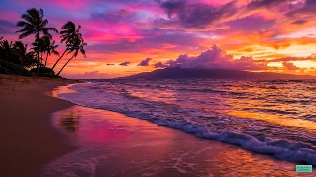Tropical Sunsets – Chillout Music for Study, Work & Relax ｜ Chill Guitar