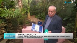 В Ботаническом саду Петра Великого погасили марку