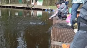 Поимки форели на железо и резину. Клёвое место, Лосиный остров, спорт-зона.