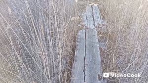 Старинная песня якутских казаков. Живу уже на даче.