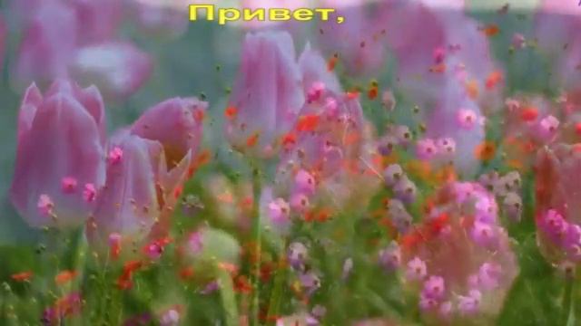 Привет, май!