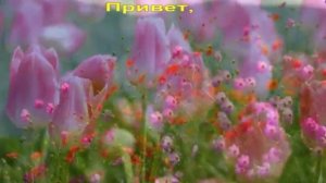 Привет, май!