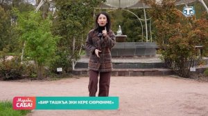 Рубрика «Фразеологизмы». Выпуск от 04.05.2026