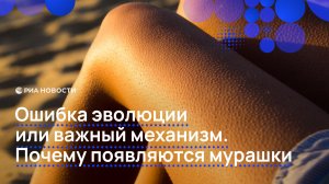 Ошибка эволюции или важный механизм. Почему появляются мурашки?