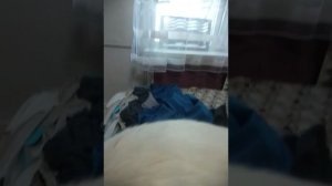 Мой ещё один обзор