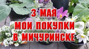 3 мая. Что я купила в г. Мичуринск