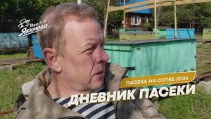 Дневник пасеки: холода, обогрев и планы