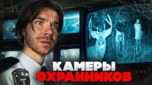 Видео с КАМЕРЫ ОХРАННИКА | Сняла камера в ЛЕСУ | bolduriev stories
