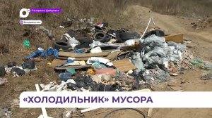Живописная сопка Холодильник во Владивостоке вновь утопает в мусоре