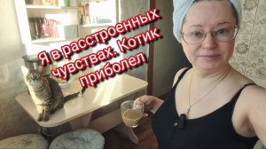Я в расстроенных чувствах.Котик приболел