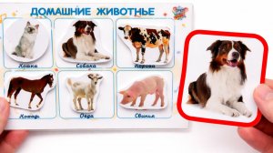 Учим домашних животных 🐮 Развивающее видео для детей | Первые слова