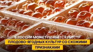 В России может появится реестр плодово-ягодных культур со схожими признаками