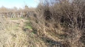 участок Липецк СНТ строитель 3