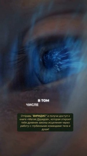 В 2026 будет усиливаться агрессия