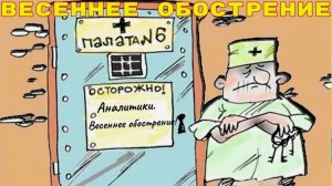 Стрим 4 мая 2026