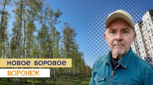 Разлив Усманки, пляж и красота берез в Новом Боровом