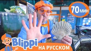 Блиппи изучает подводный мир 🐠🦐 | Блиппи на русском