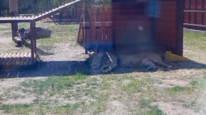 MFLQ2853. 04.05.2026 Видео от Ивана