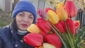 Поездка на мамину дачу! Сажаем смородину, собираем грядки для клубники!