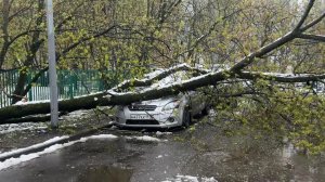 Автомобилисты подсчитывают ущерб от последствий апрельского снегопада.